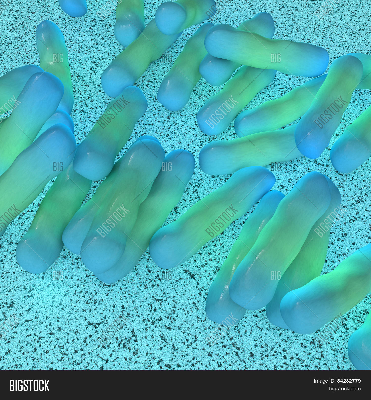 shigella dysenteriae bacteria in the laboratory - 3d rendered
