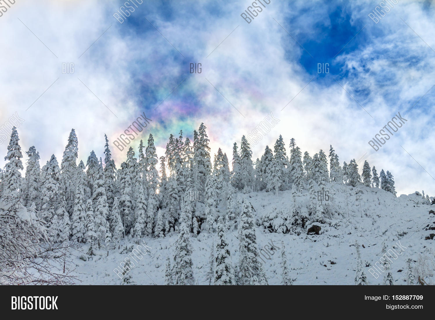 beautiful taiga hills on far east of russia in early october.