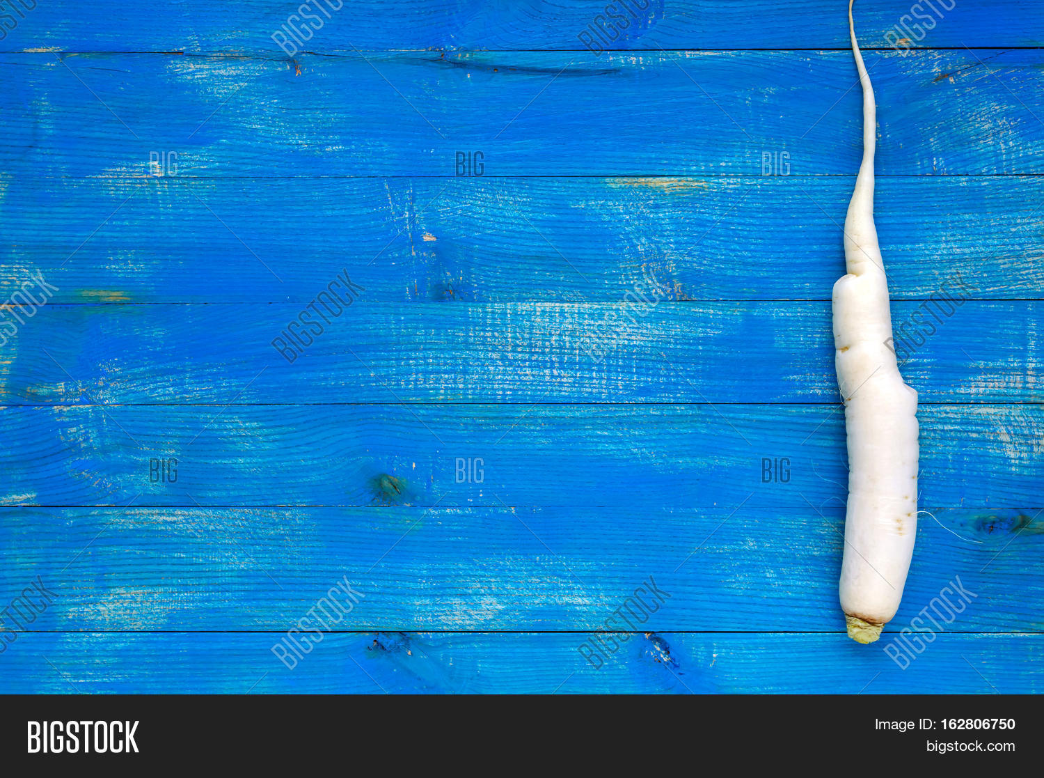one root of daikon radish on a blue (sapphire) wooden background