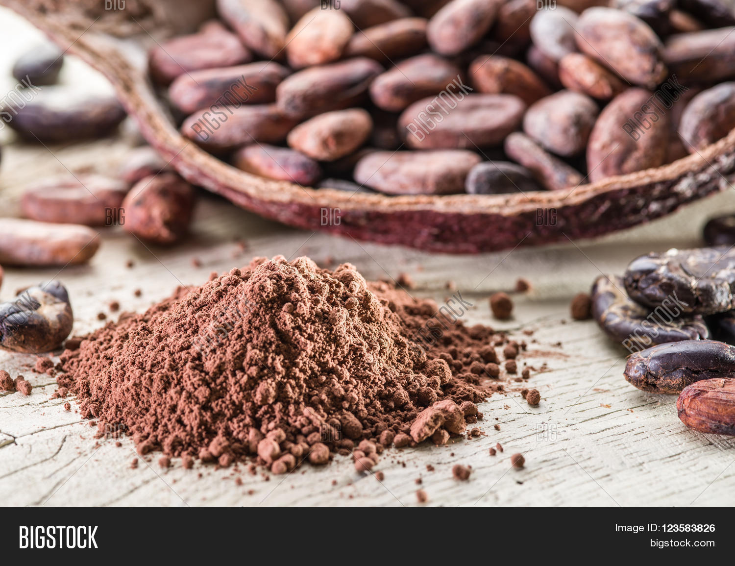 cocoa powder and cocoa beans on the wooden table.
