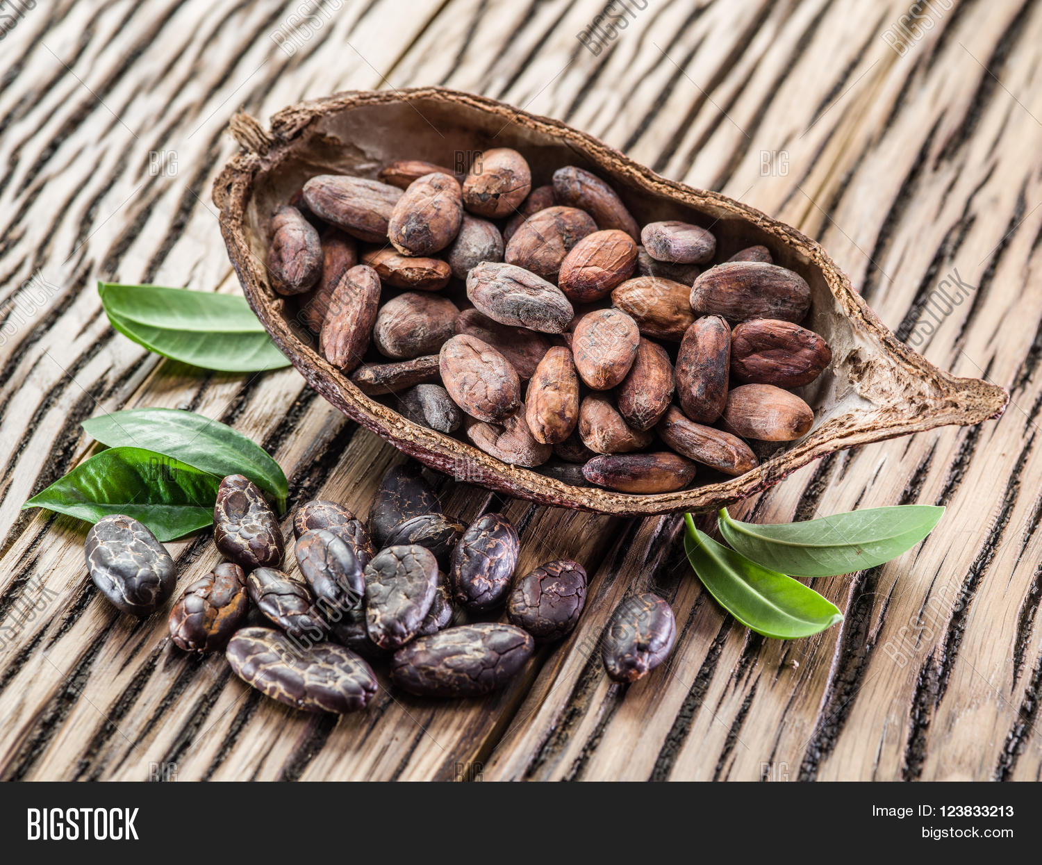 cocoa pod and cocoa beans on the wooden table.