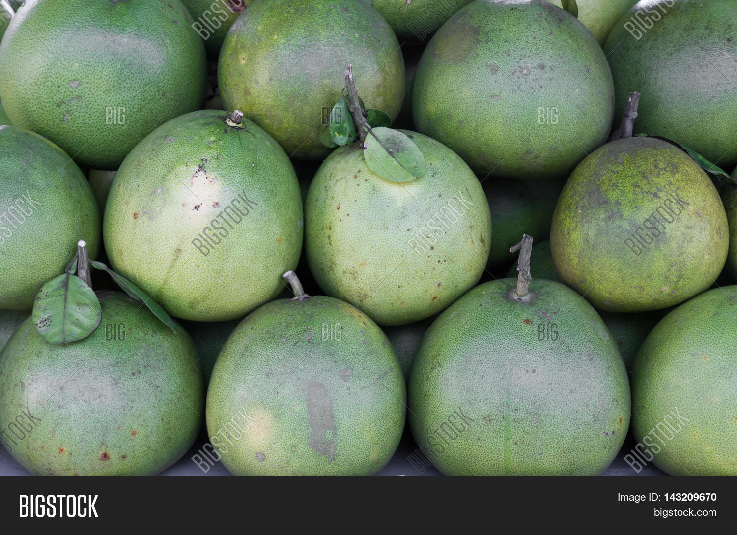 pomelo or pummelo. for sele in markets or grocerys product.