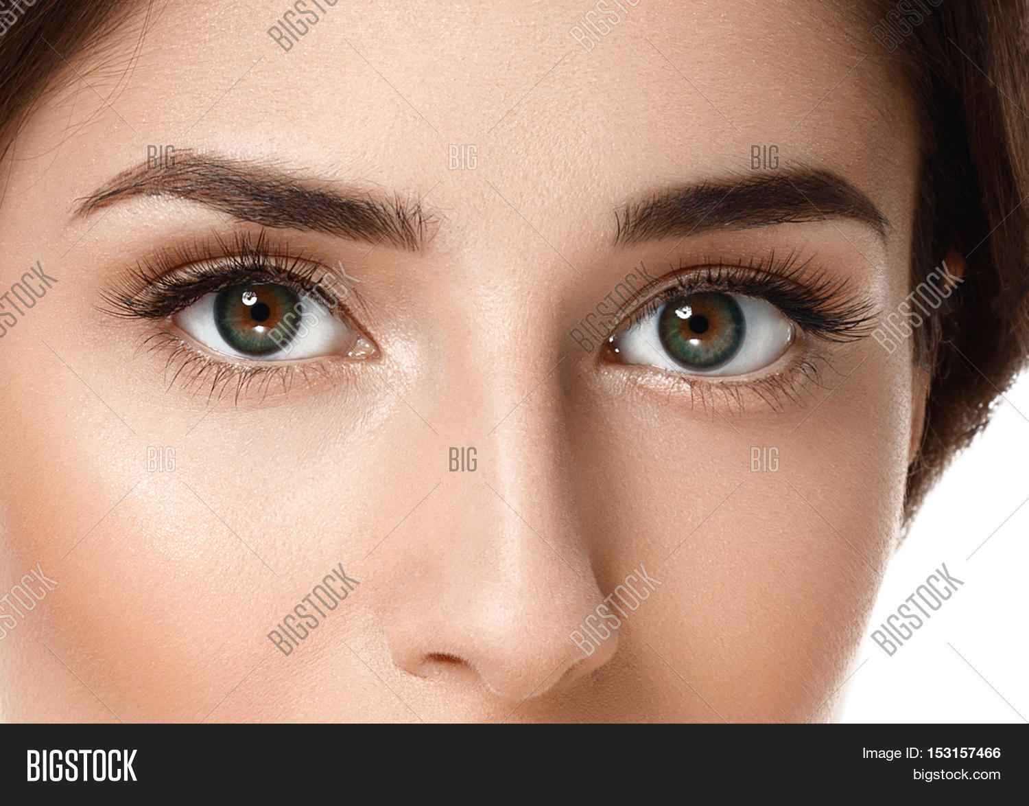 eye woman eyebrow eyes lashes. isolated on white. close up view.