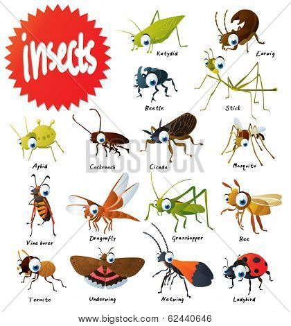 set of vector insects