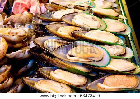 green mussel with ice