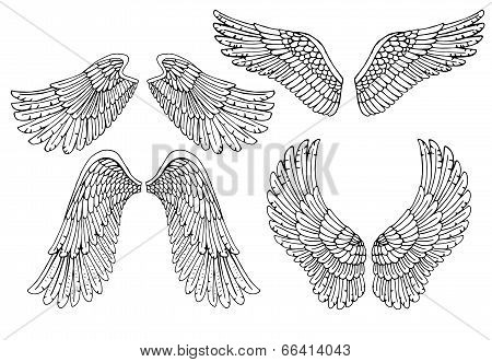 set of four different vector angel wings