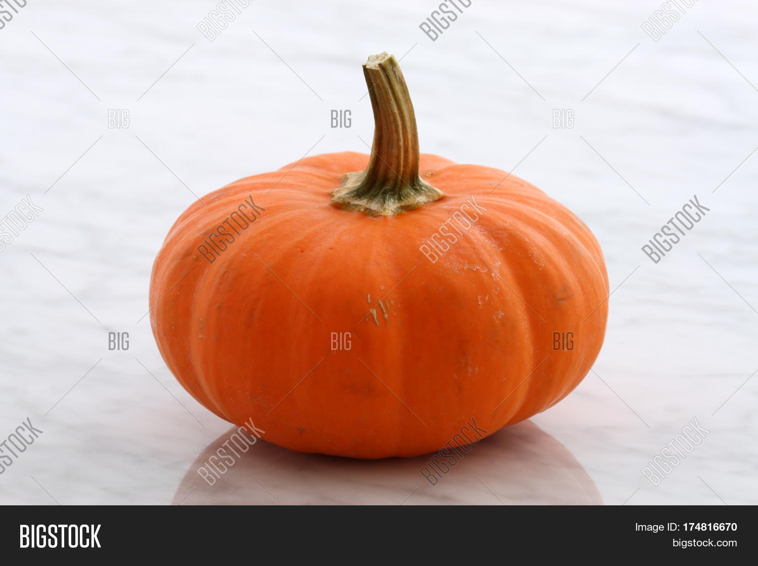 beautiful organic pumpkin or summer squash on carrara marble