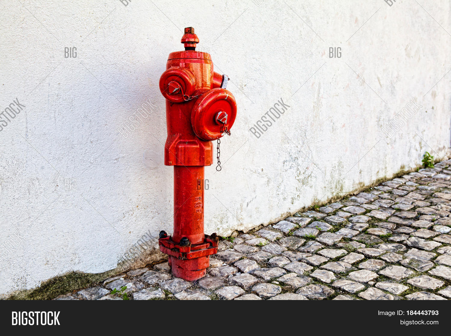a closeup red fire hydrant on a street