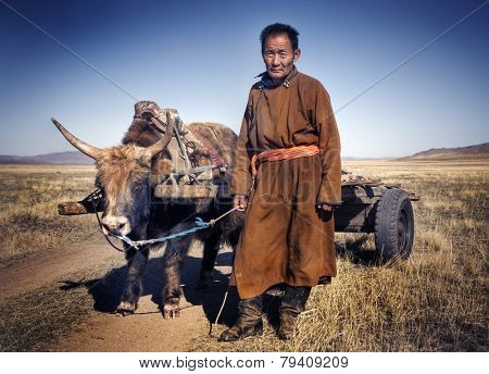 man walking with a bull with a cart.
