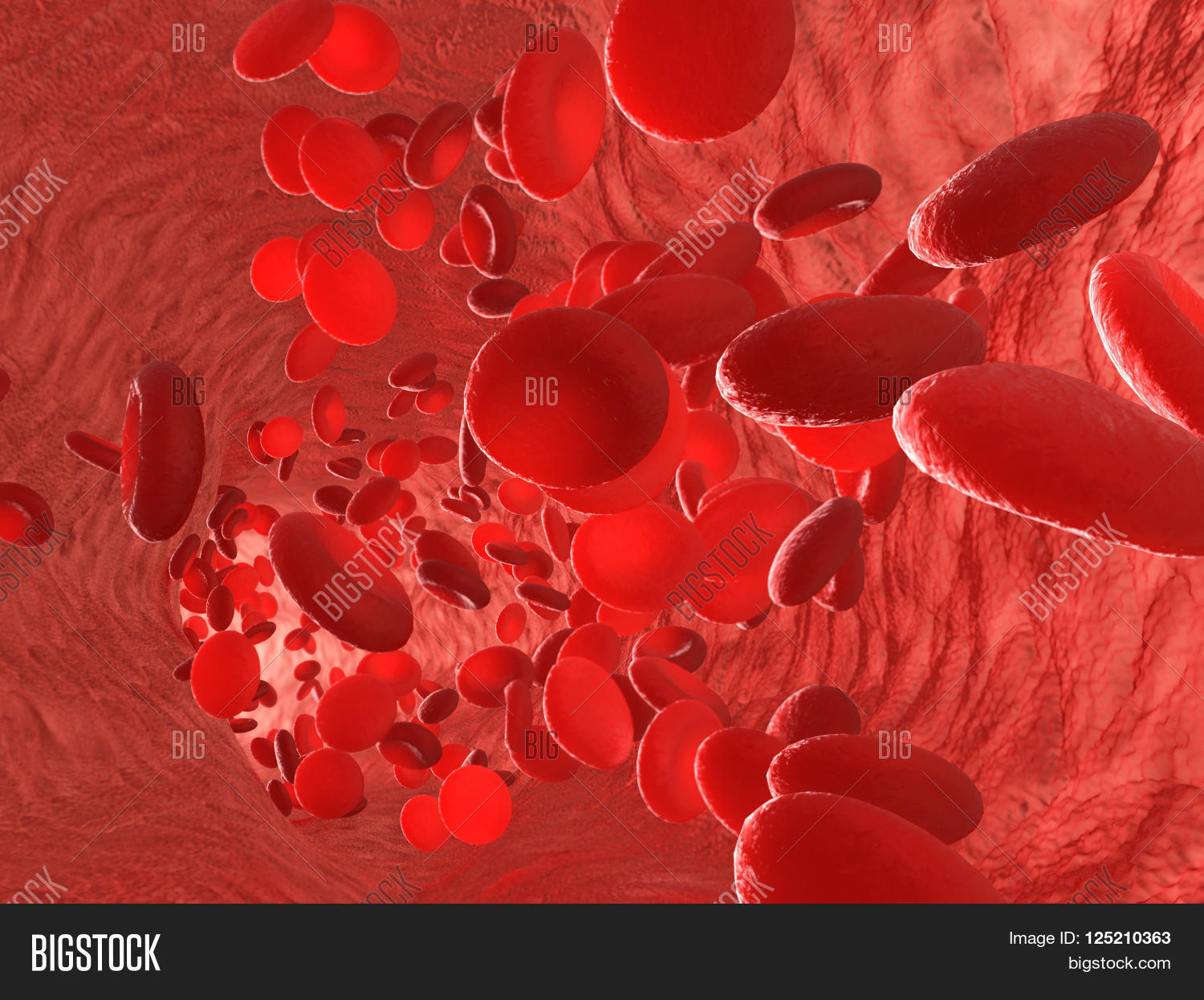 red blood cells erythrocytes图片和照片 | bigstock