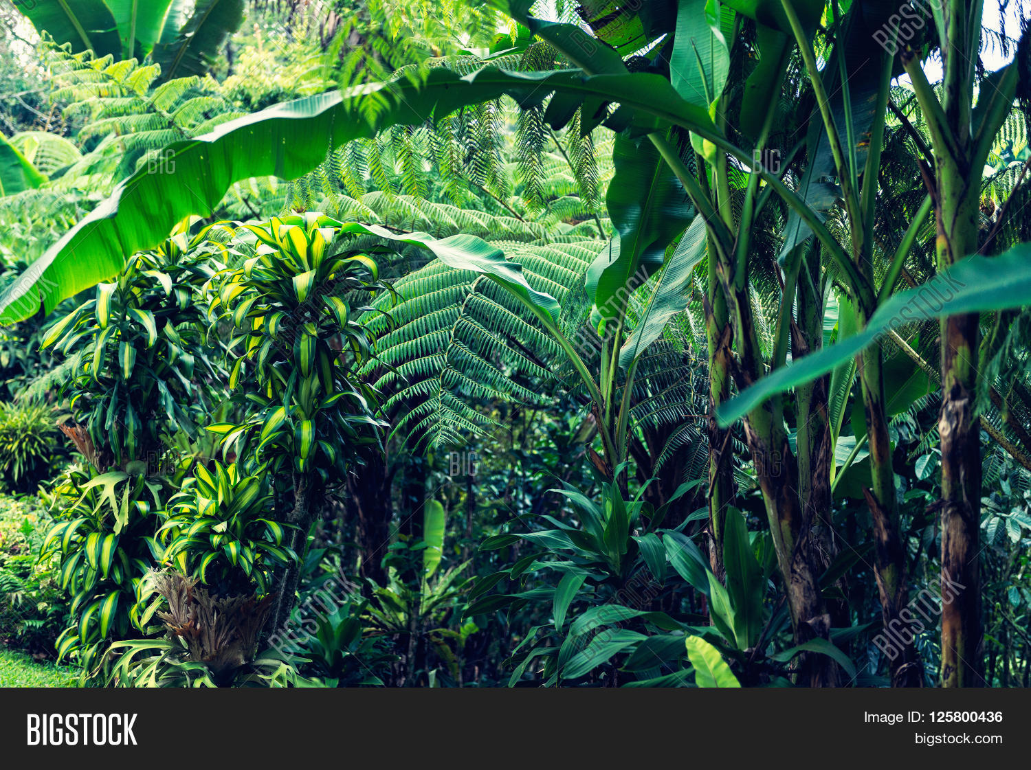 取消   保存 可用于扩展许可使用 crop, resize & add text to your