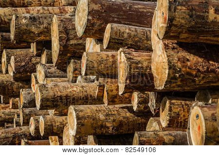 chopped firewood logs