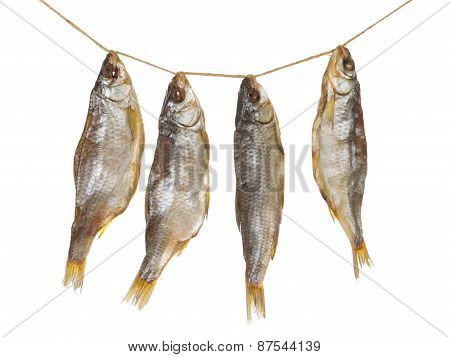 four delicious dried fish