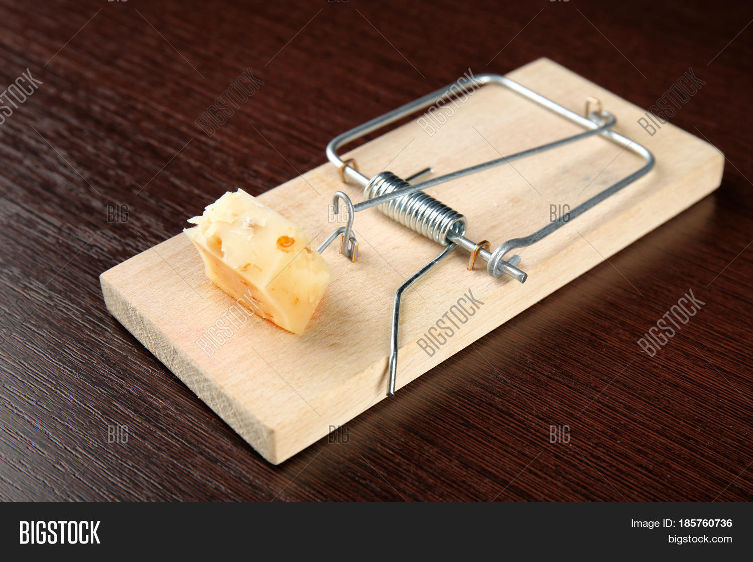 mousetrap with cheese on wooden background