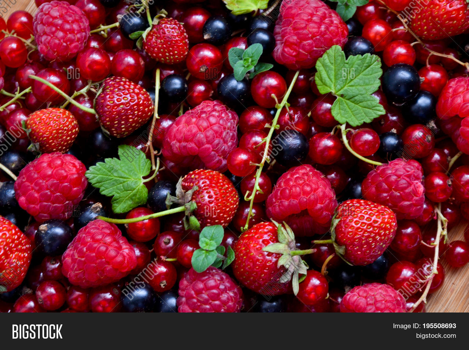 raspberry strawberry red and black currant organic fresh from