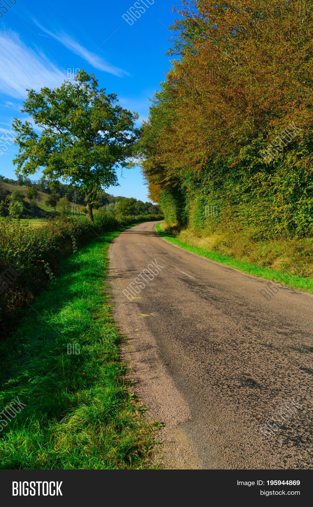 country road with fields and farms in cote dor burgundy france