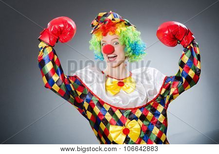 funny clown with boxing gloves