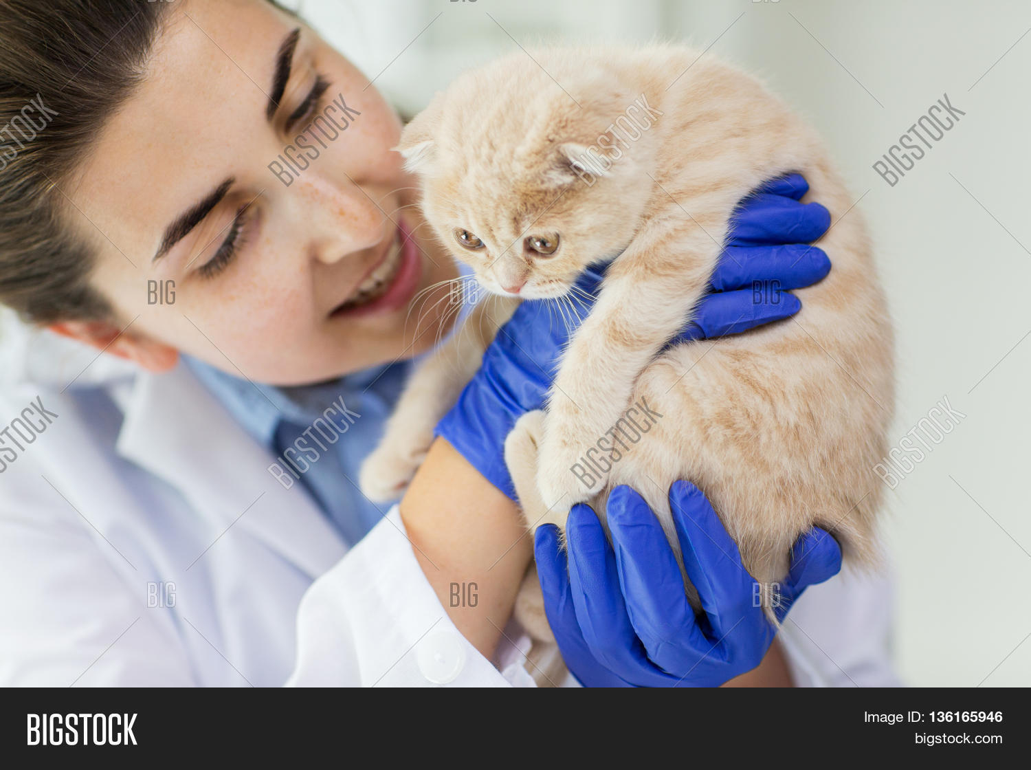 medicine, pet, animals, health care and people concept - close