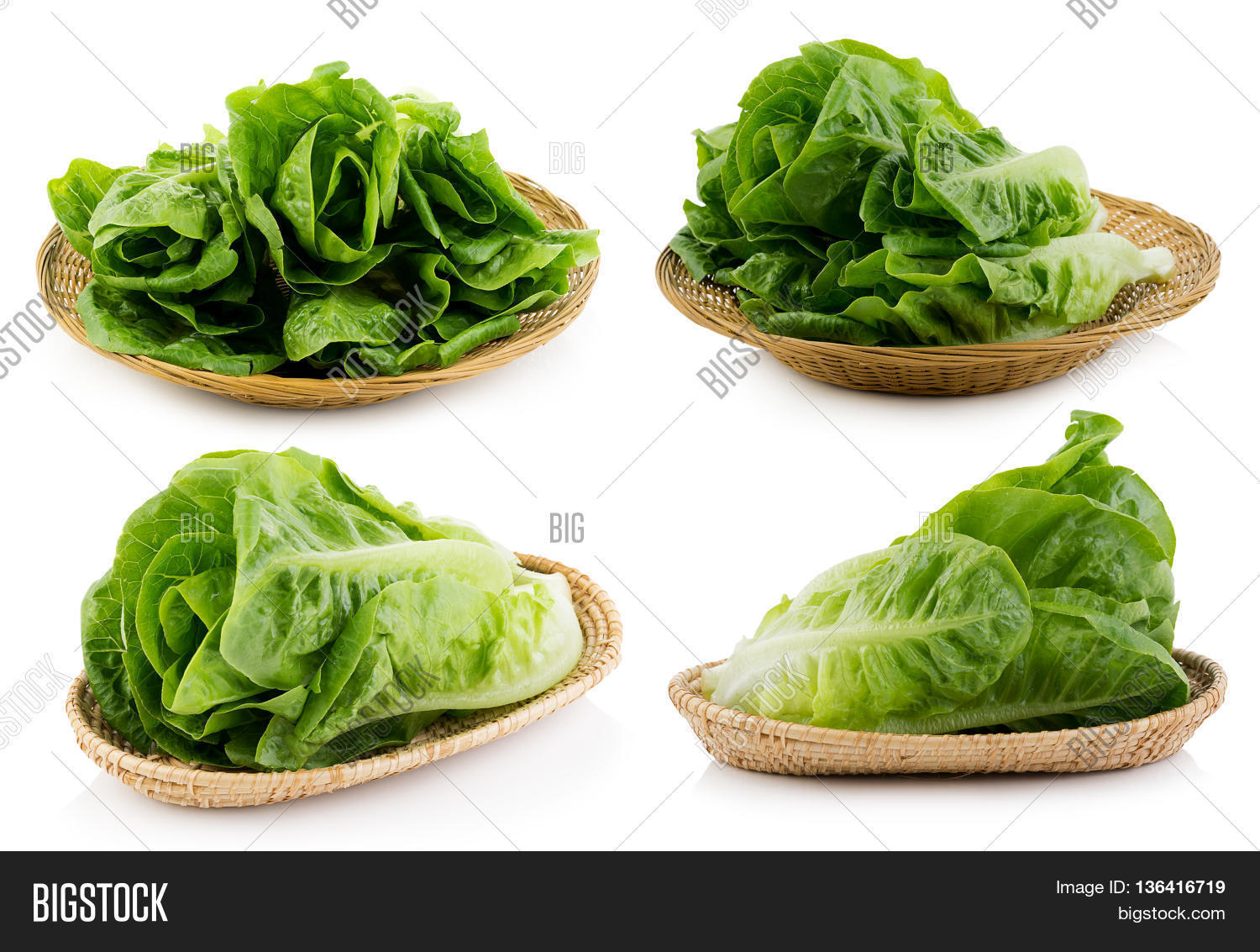 closeup fresh cos (lettuce) on white background