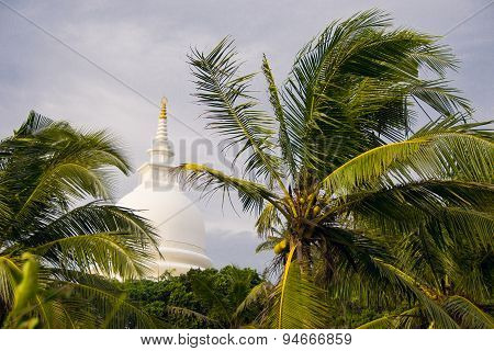 palms tree, japanese peace pagoda on background, unawatuna sri