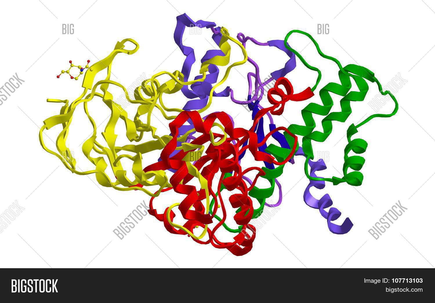 molecular structure of enzyme cholinesterase (choline esterase)