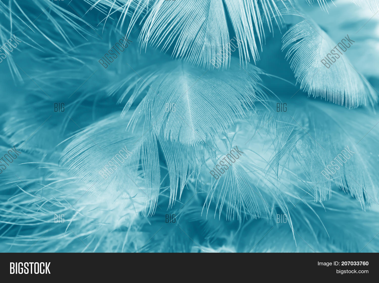 feather color turquoise emerald green on white background