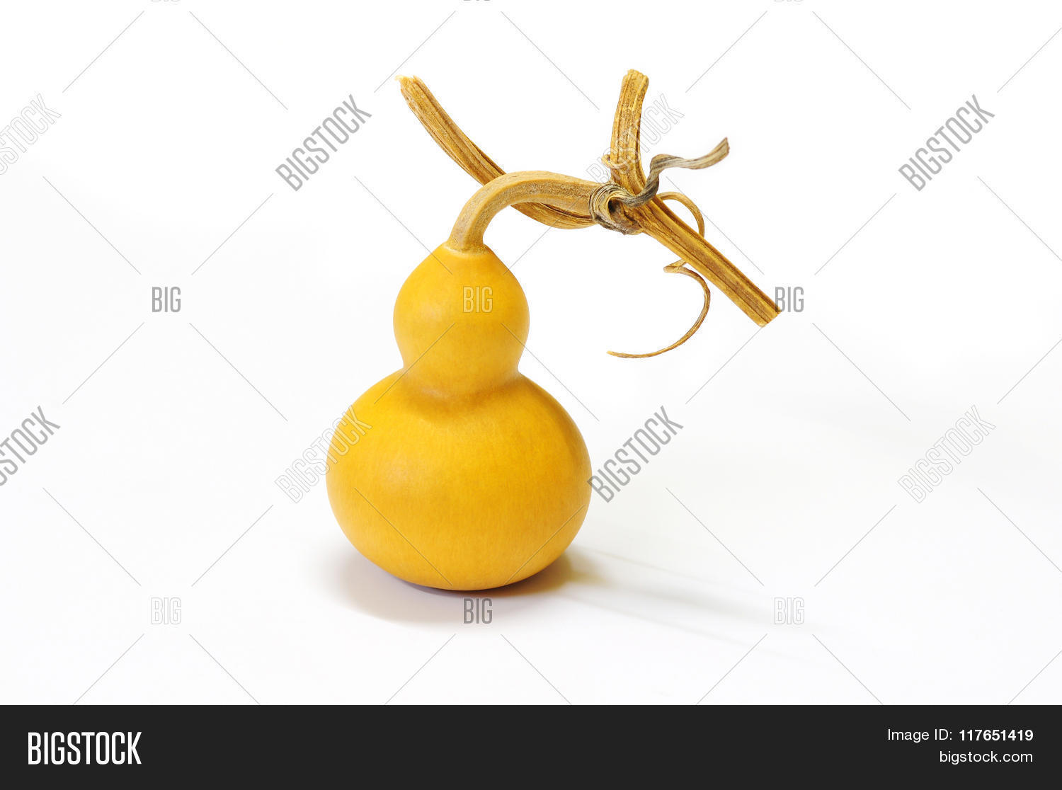 chinese calabash gourd calabash is fetish and gift.