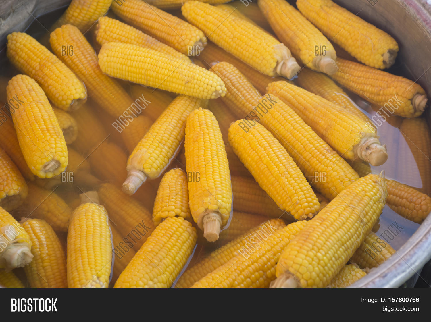 corns boiled outdoors in metal pot. cookout vegetable meals.