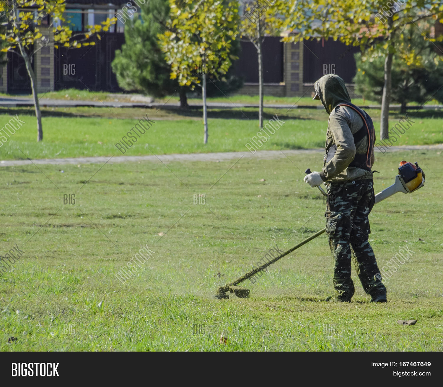worker mowing the lawn. mowing grass trimmer.