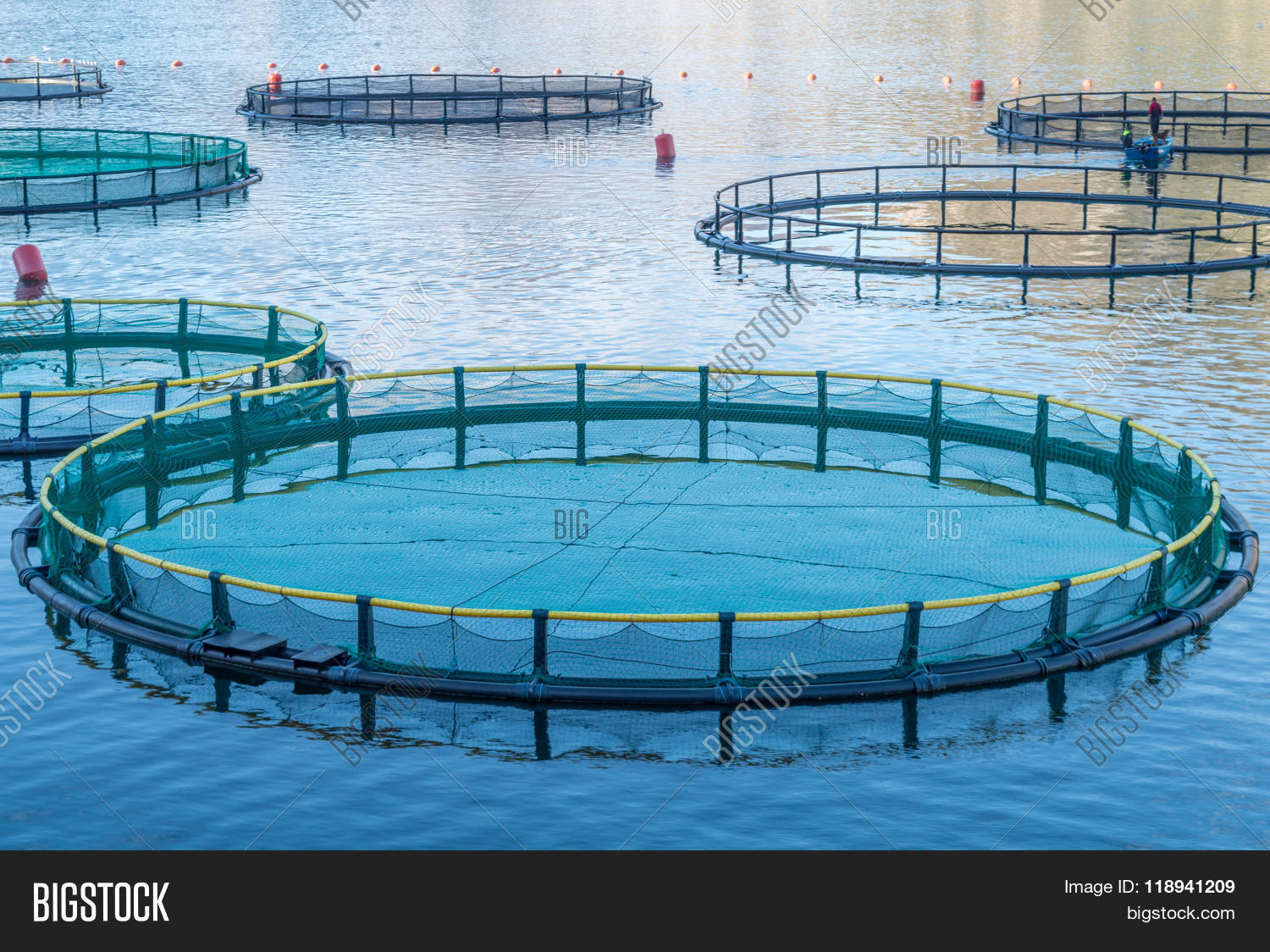 big cages for fish farming in montenegro