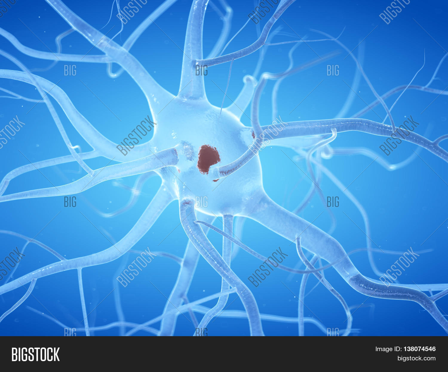 3d rendered illustration of a nerve cell