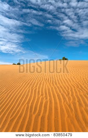 sand dunes 库存照片和库存图片 | bigstock