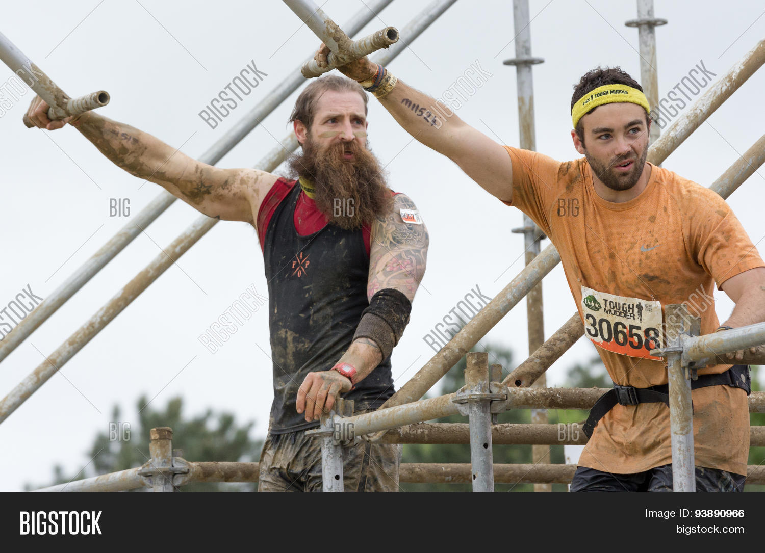 tough mudder 2015: beardman king of swingers