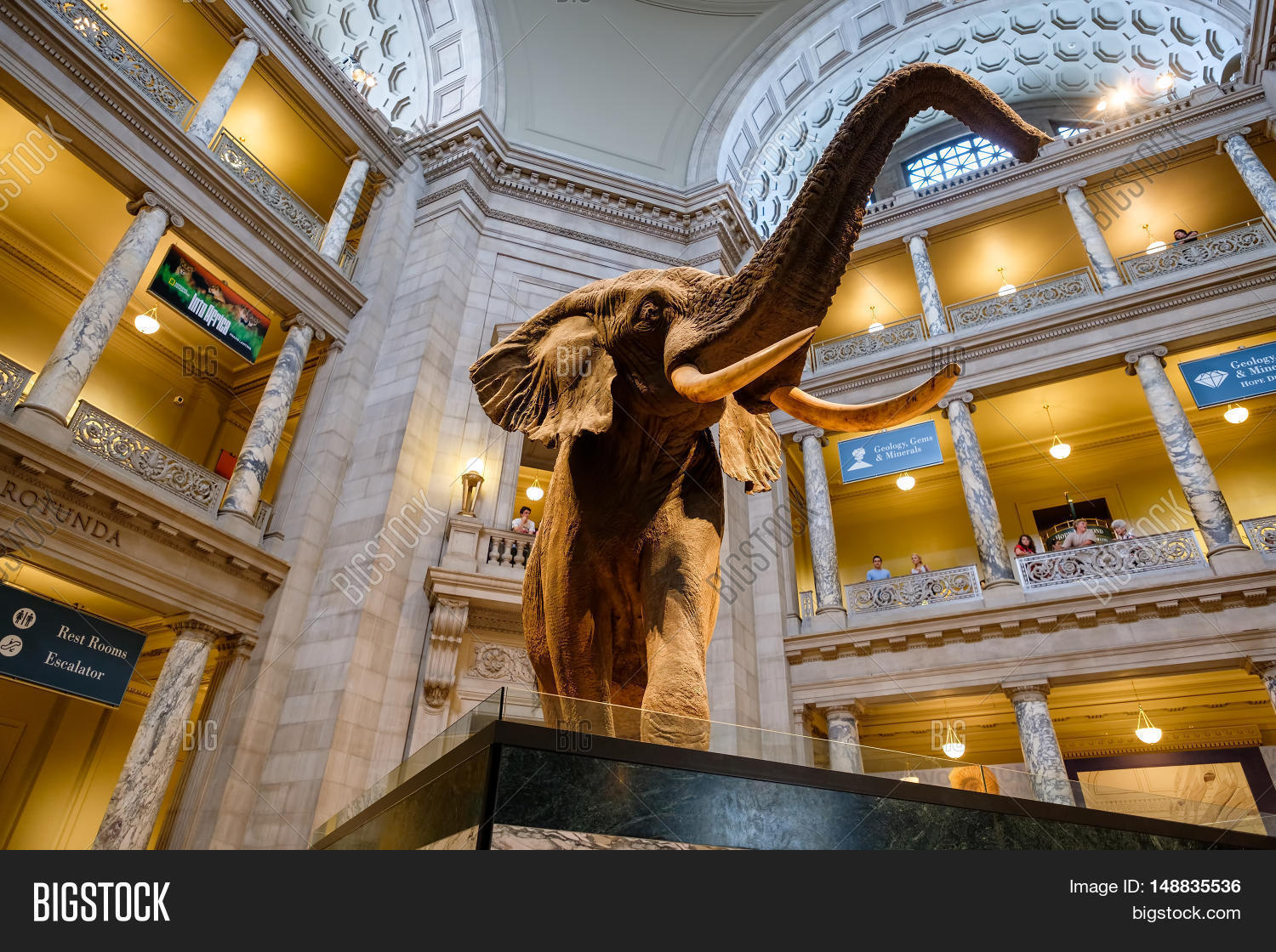 usa - august 11,2016 : main hall at the national museum of