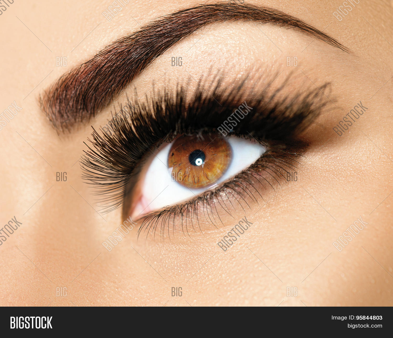 beautiful eyes make up detail, perfect beauty eyebrows