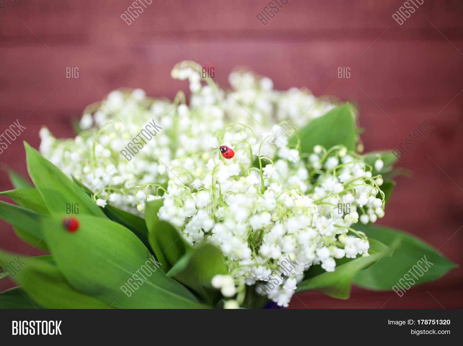lily of the valley bouquet. lily of the valley with copy space.
