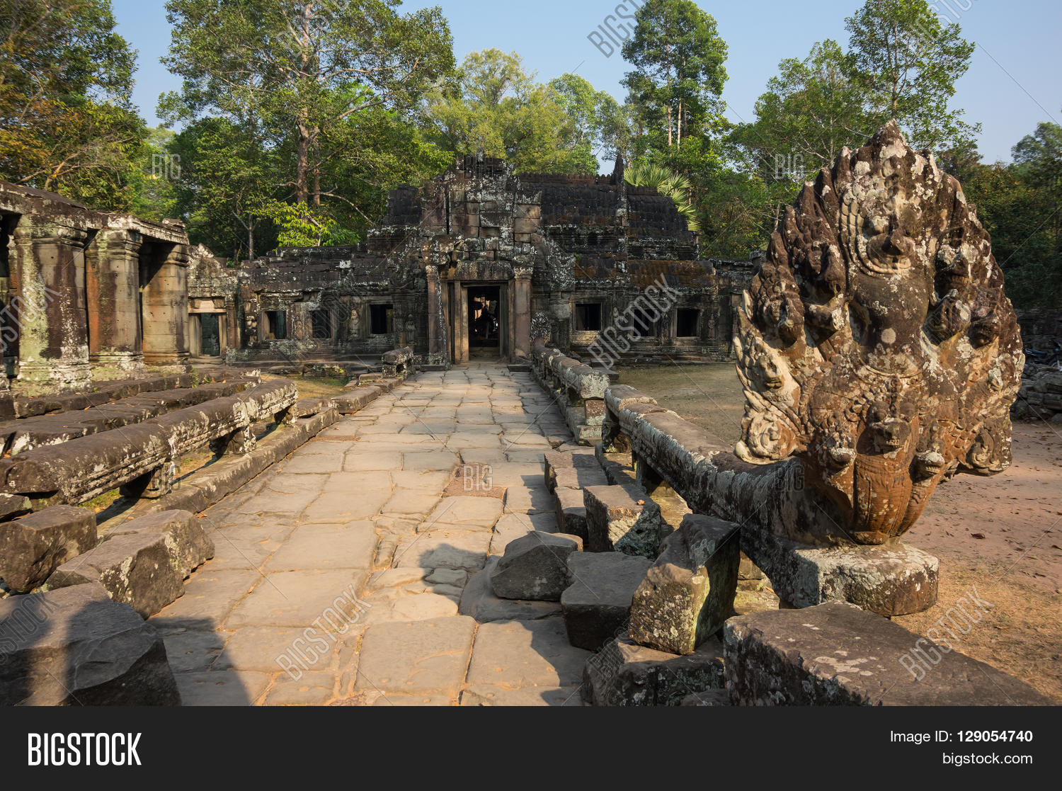 ruins of ta prohm temple at angkor wat complex siem reap