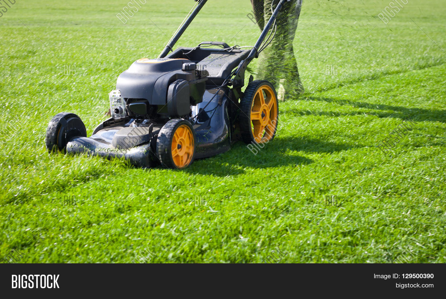 lawn mower mower, grass, equipment, mowing, gardener, care, work