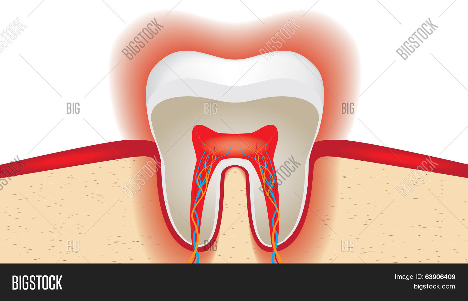 pulsation of sensitive tooth enamel. vector illustration