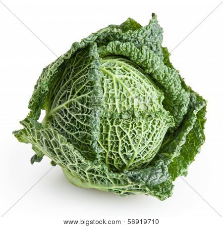 savoy cabbage isolated on white background with clipping path
